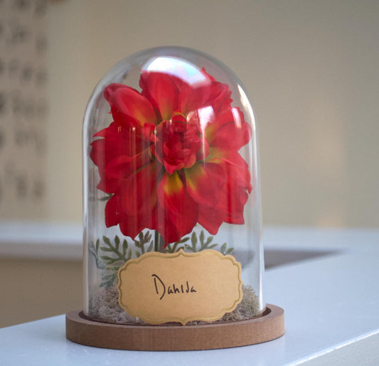 Dahlia Flower Cloche