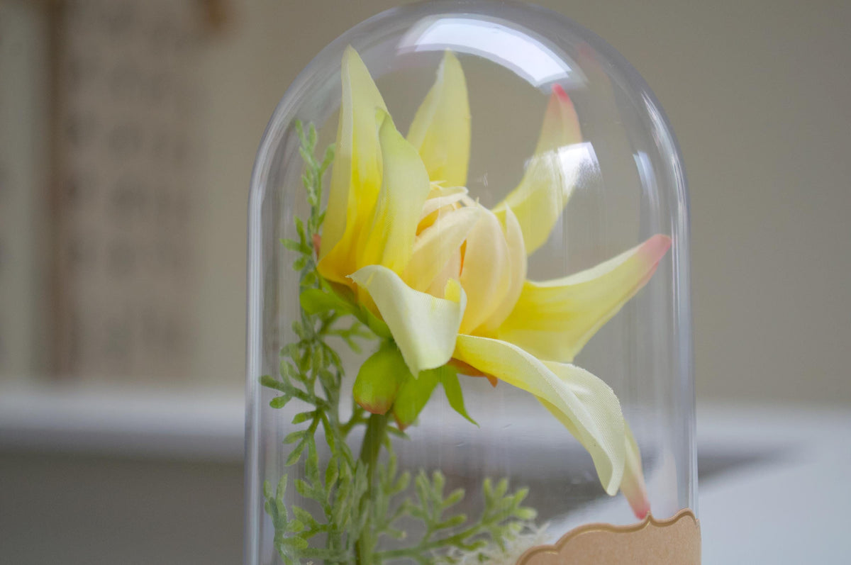 Orchid-Dahlia Flower Cloche