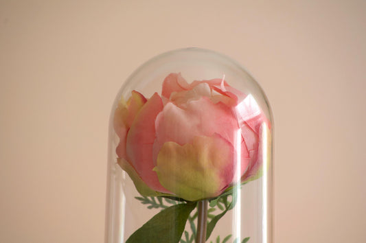 Peony Flower Cloche-Terrarium