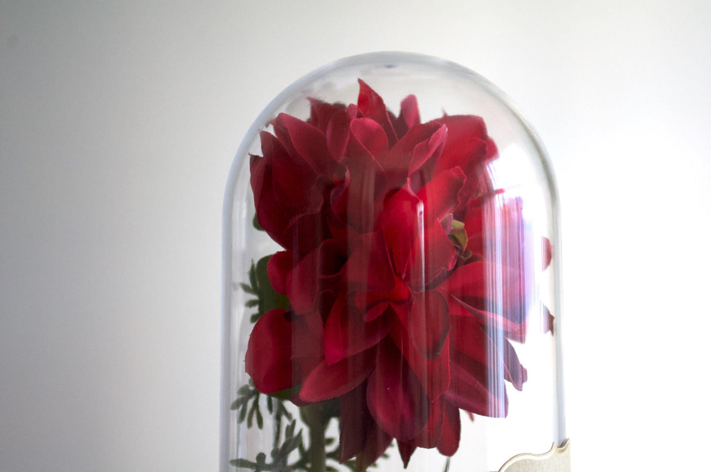Dahlia silk flower arrangement inside of a flower cloche