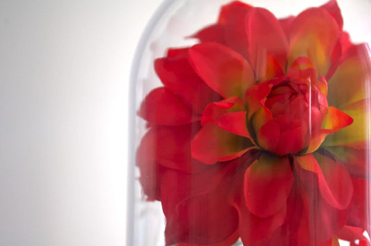Dahlia Flower Cloche-Terrarium