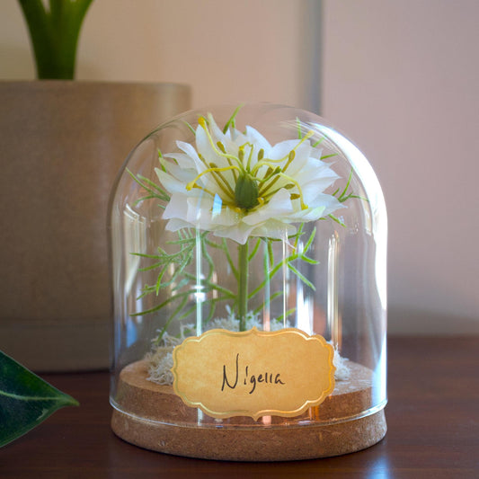 A clear glass dome cloche with a cork base displaying a white flower with green stems, set on a wooden surface with a small gold tag reading 'Nigella' in the background.