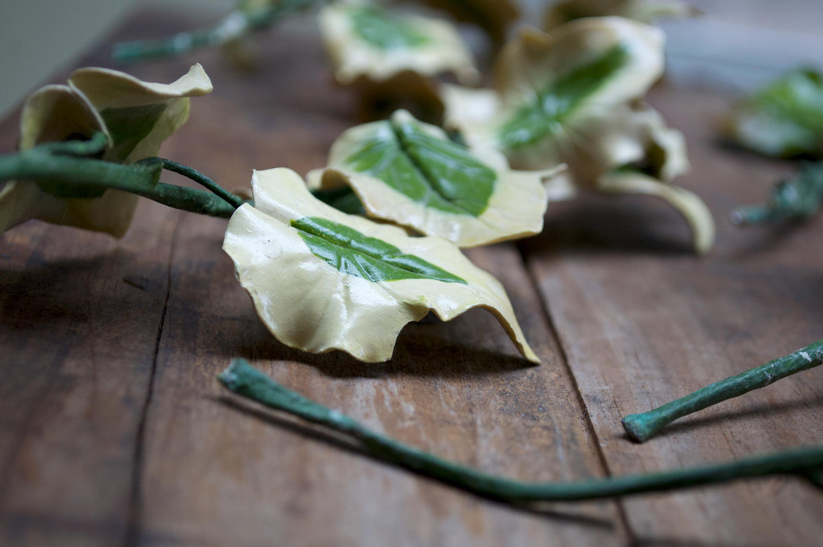 Vintage Handmade Variegated Ivy Stems – Set of 5