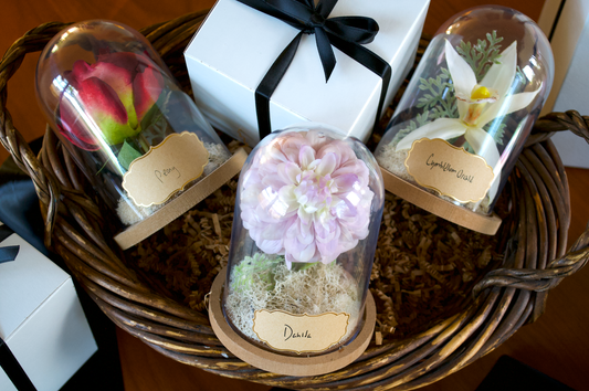 Cloche Trio Gift Set