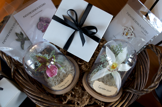 Orchid Gift Set