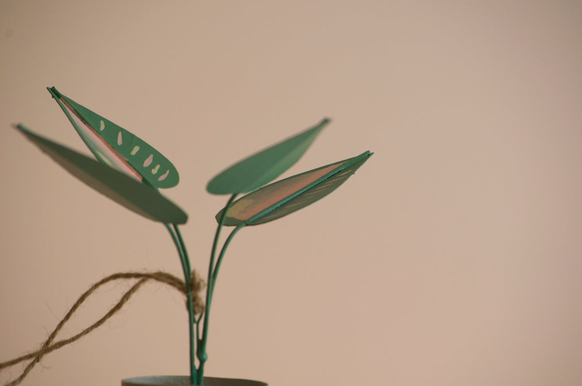 Philodendron Plant Christmas Ornament