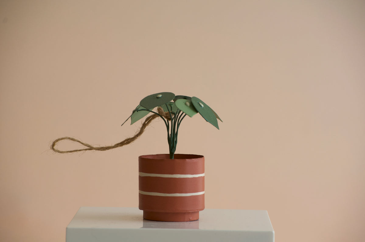 Pilea Peperomioides "Chinese Money Plant" Christmas Ornament
