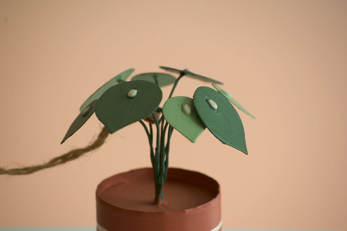 Pilea Peperomioides "Chinese Money Plant" Christmas Ornament