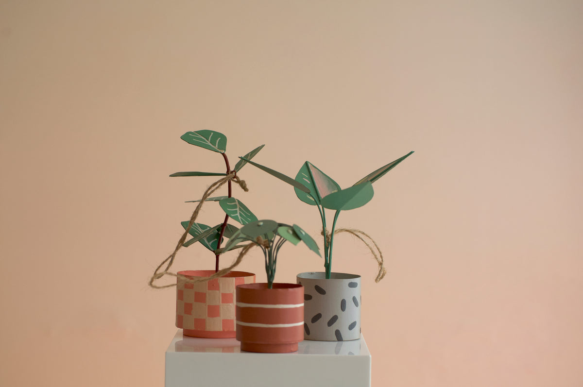 Plant Ornament Gift Set; Philodendron, Fiddle Leaf Fig, Pilea Peperomioides "Chinese Money Plant"