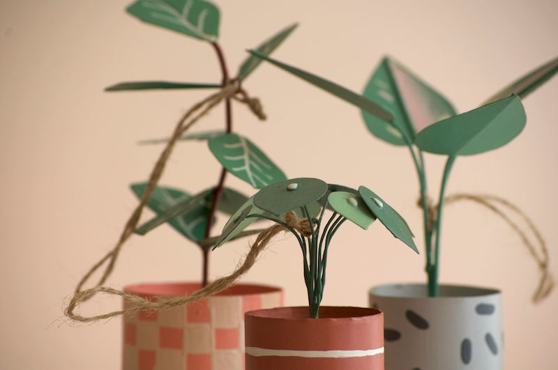 Plant Ornament Gift Set; Philodendron, Fiddle Leaf Fig, Pilea Peperomioides "Chinese Money Plant"