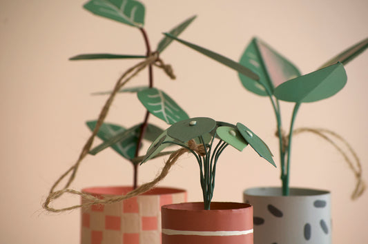 Plant Ornament Gift Set; Philodendron, Fiddle Leaf Fig, Pilea Peperomioides "Chinese Money Plant"