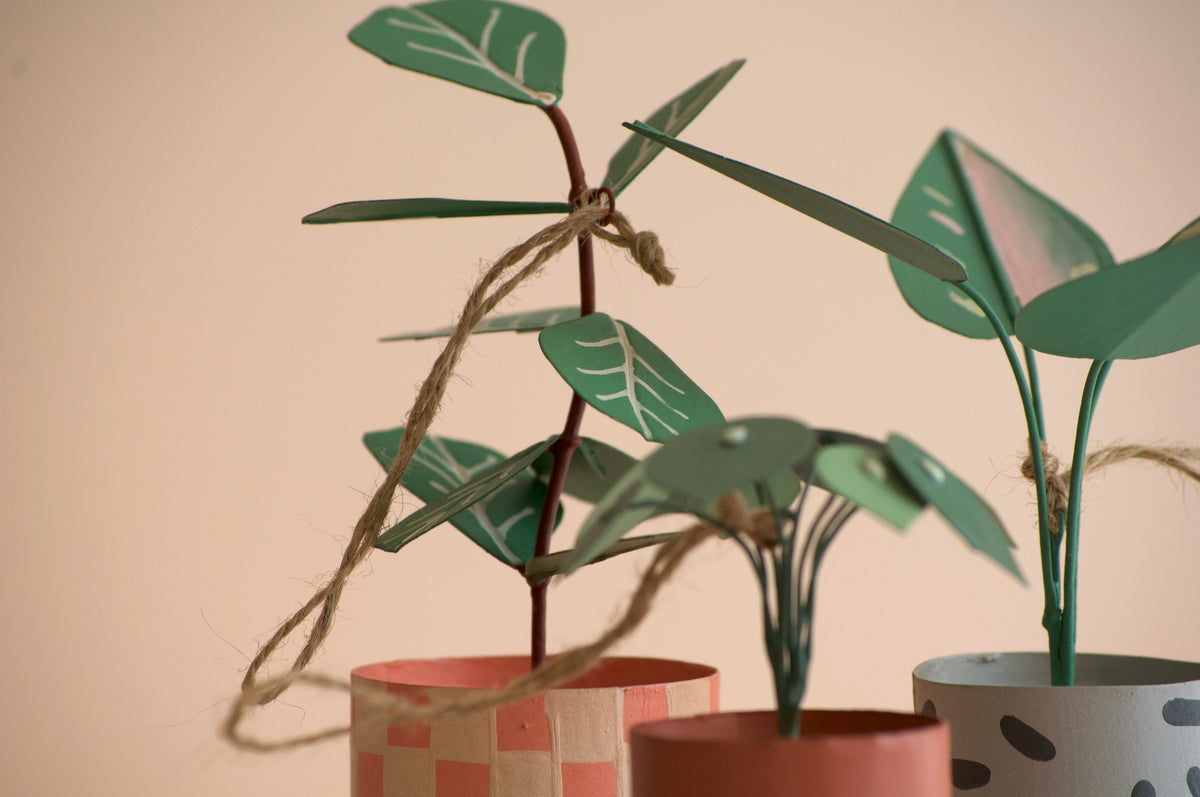 Plant Ornament Gift Set; Philodendron, Fiddle Leaf Fig, Pilea Peperomioides "Chinese Money Plant"