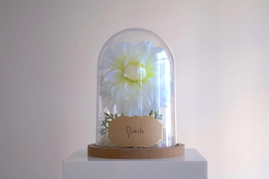 Dahlia Flower Cloche-Terrarium