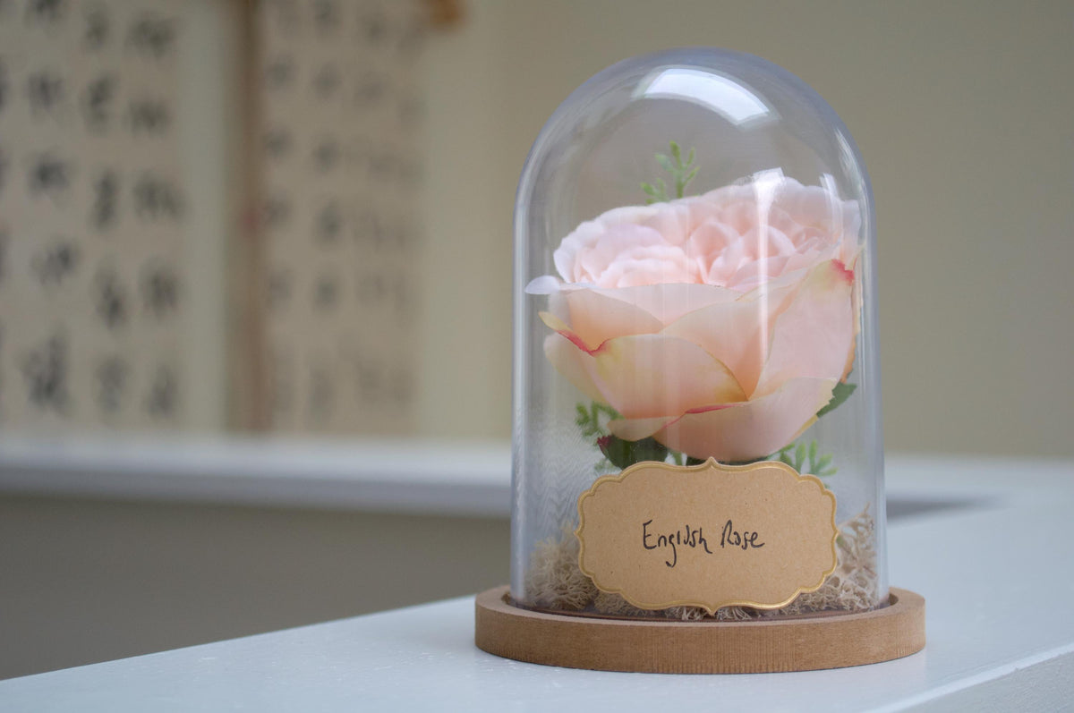 English Rose Flower Cloche