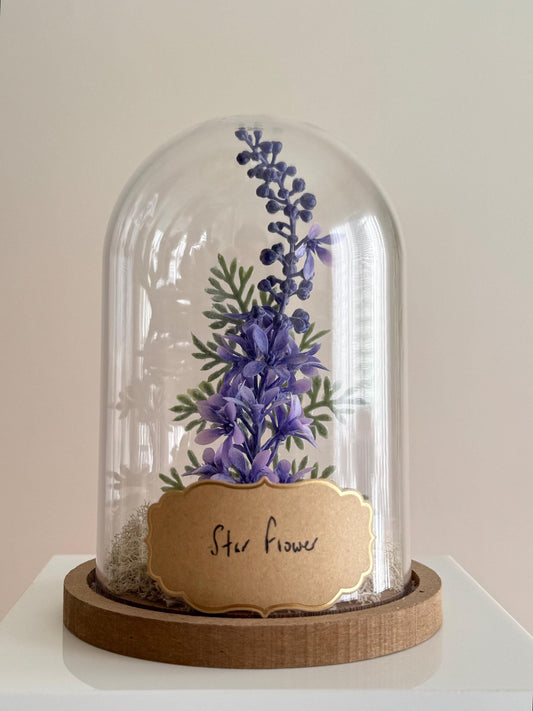 Star Flower Cloche-Terrarium