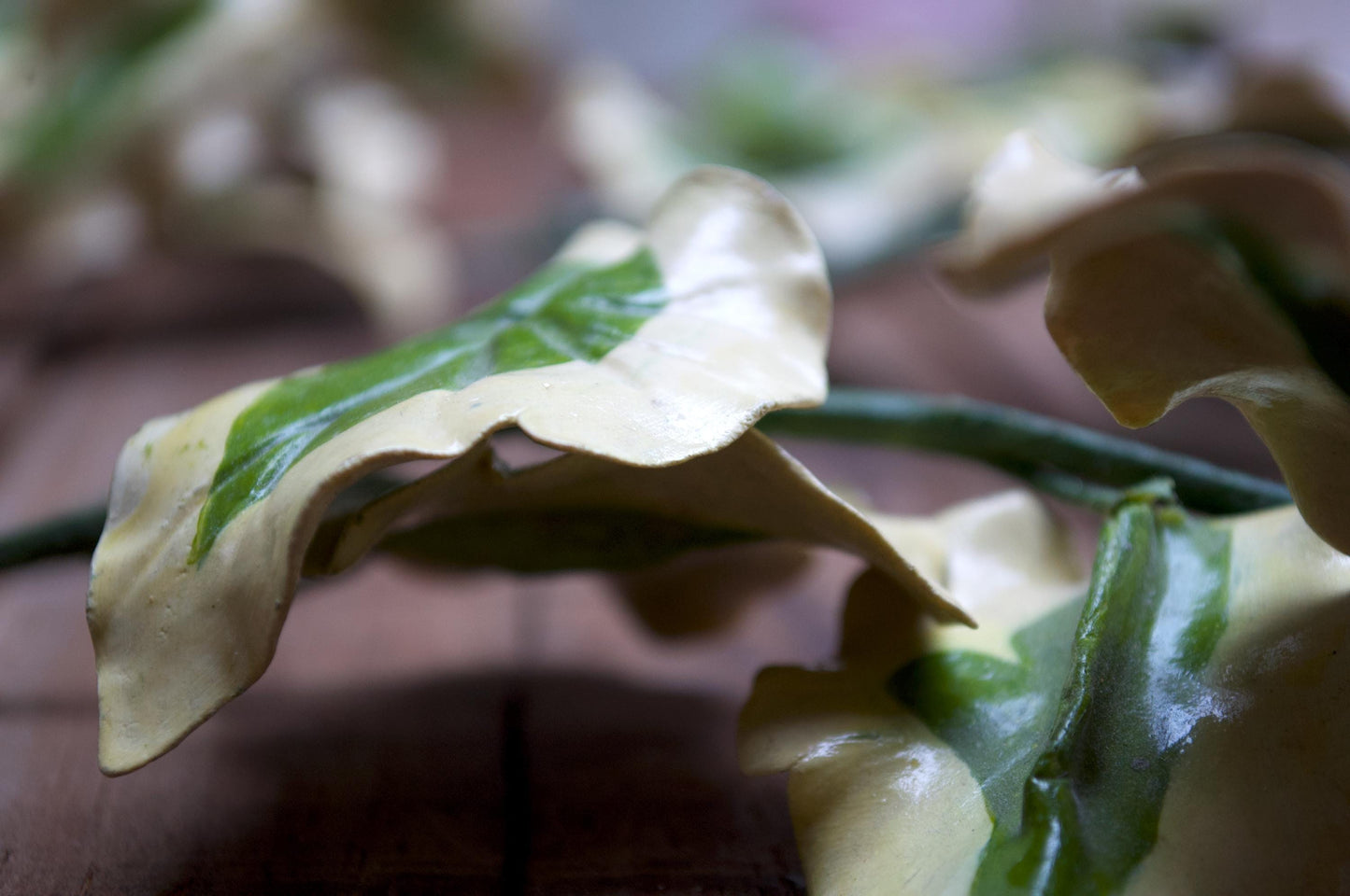 Vintage Handmade Variegated Ivy Stems – Set of 5