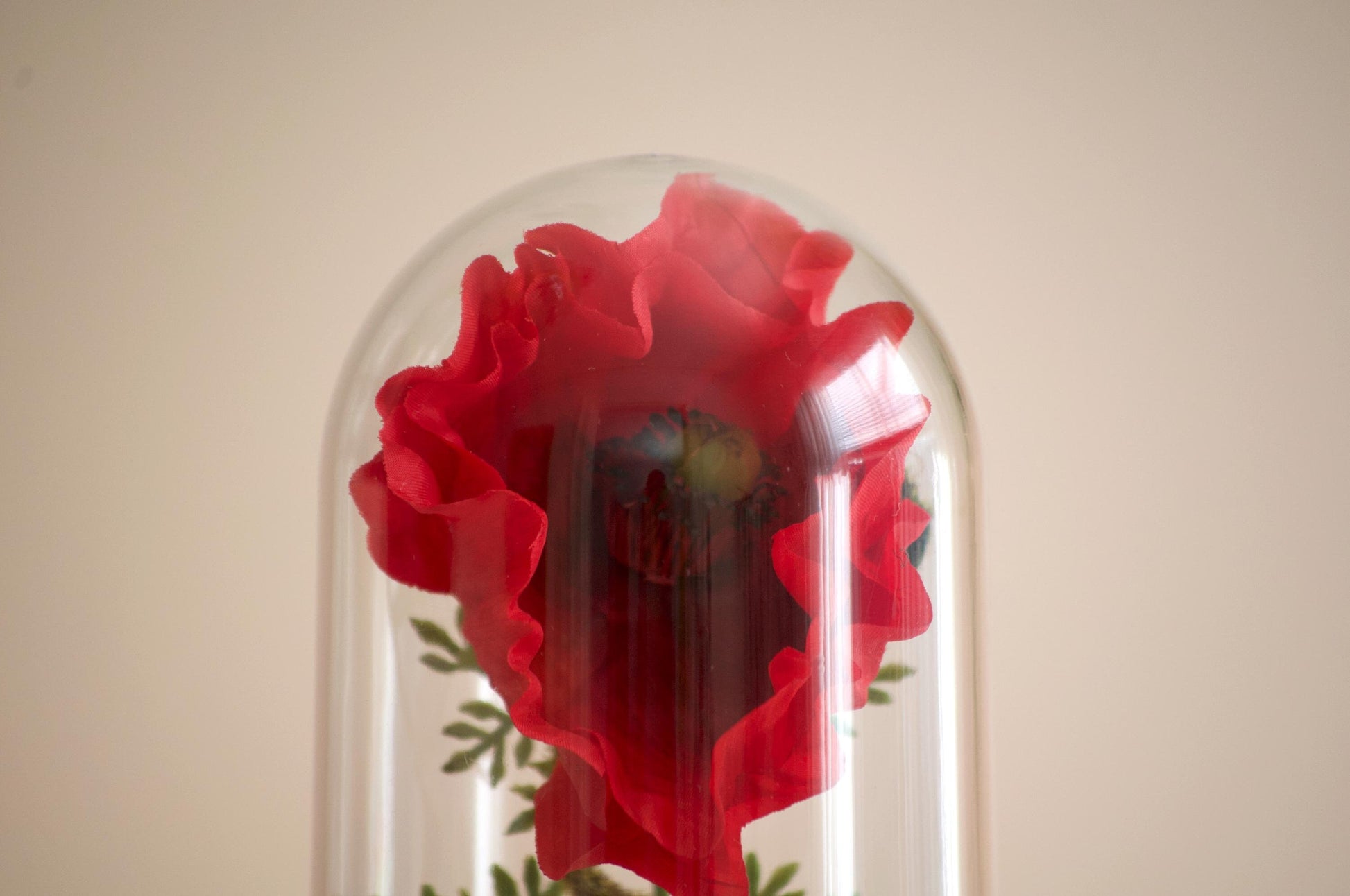 Flanders Poppy silk flower arrangement inside of a flower cloche