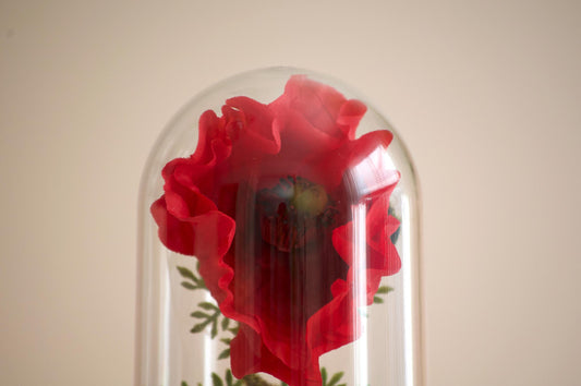 Flanders Poppy Flower Cloche-Terrarium