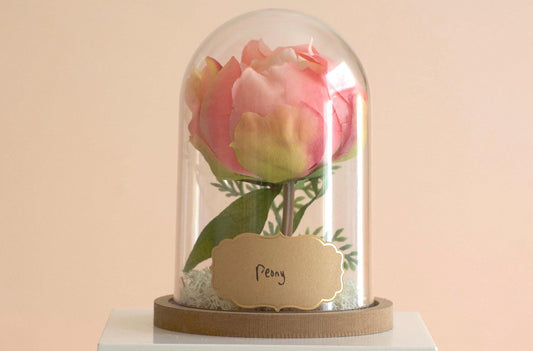 Peony Flower Cloche-Terrarium