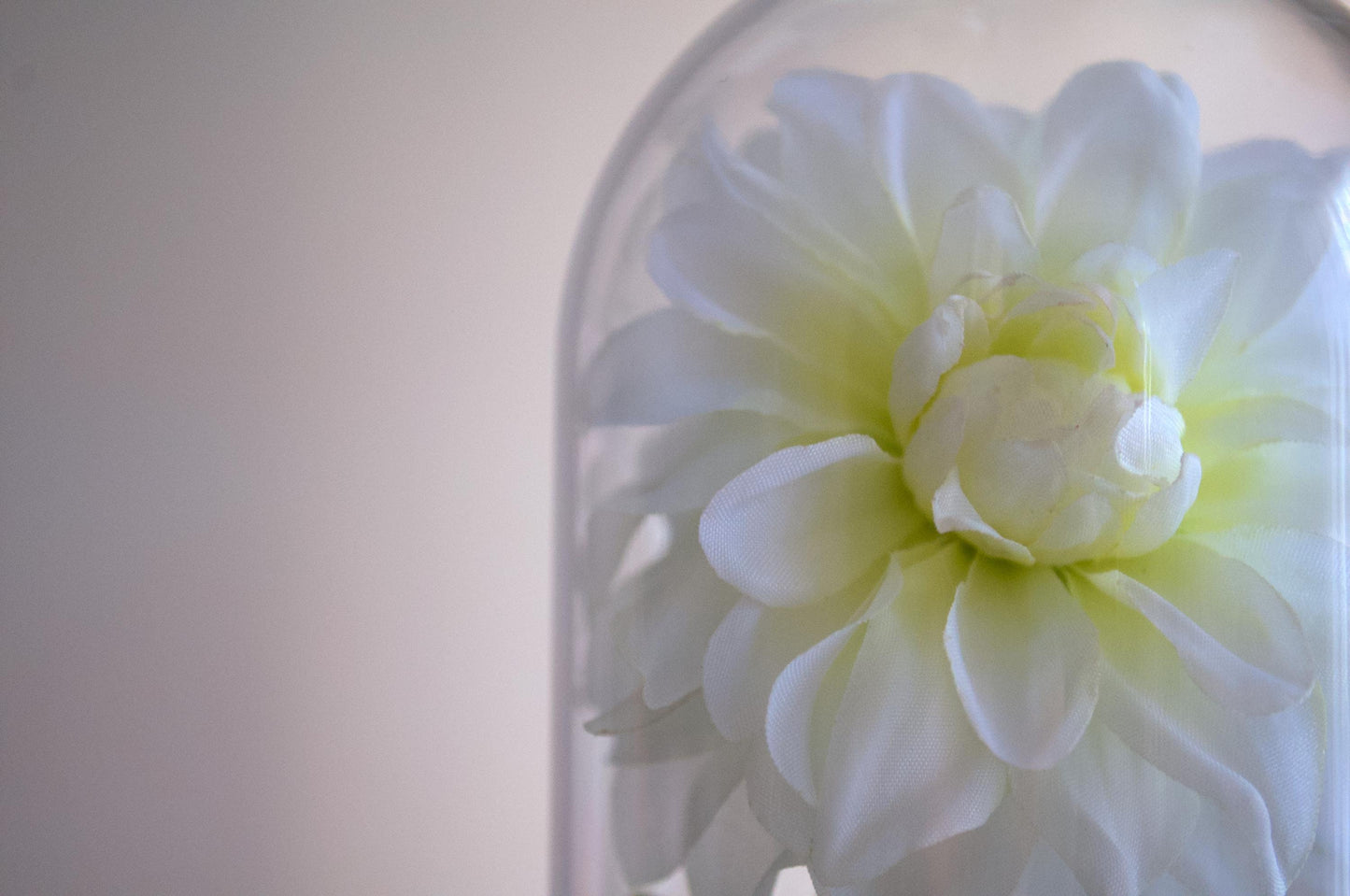 Dahlia Flower Cloche