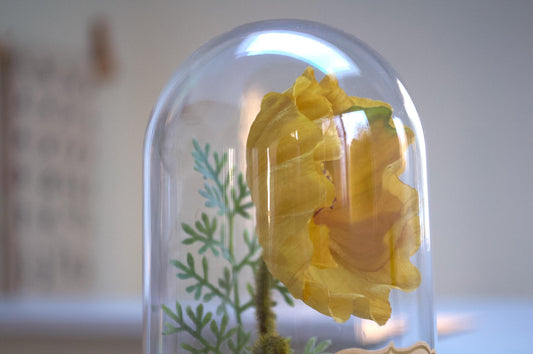 Iceland Poppy Flower Cloche