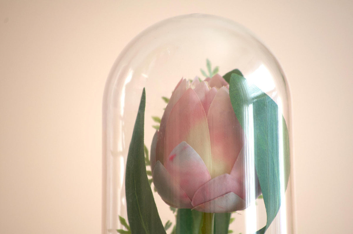 Queen Protea Flower Cloche