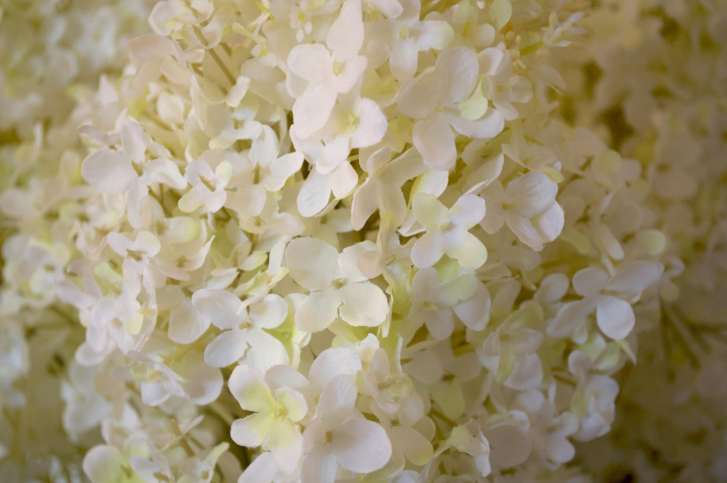 The Heirloom, Cone Hydrangea, Chinoiserie-style Vase