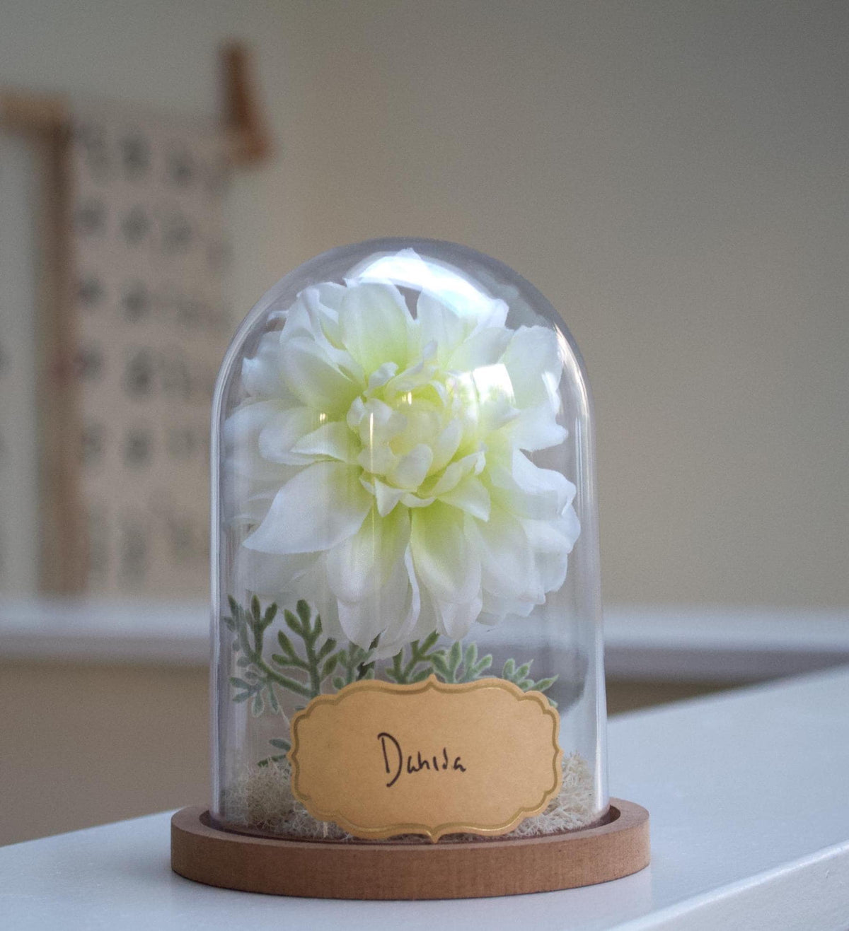 Dahlia Flower Cloche