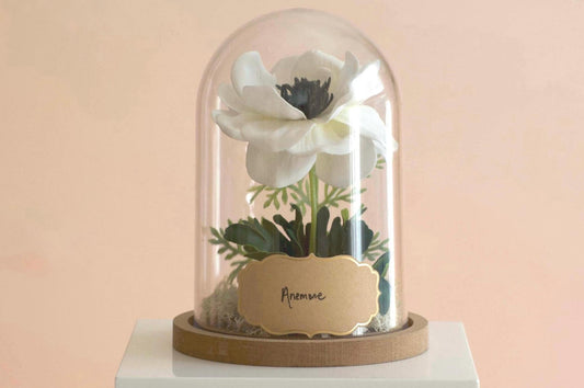 Anemone Flower Cloche-Terrarium