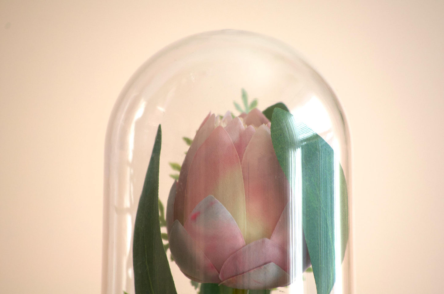 Queen Protea Flower Cloche