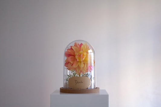 Dahlia Flower Cloche-Terrarium