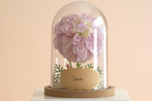 Dahlia Flower Cloche-Terrarium