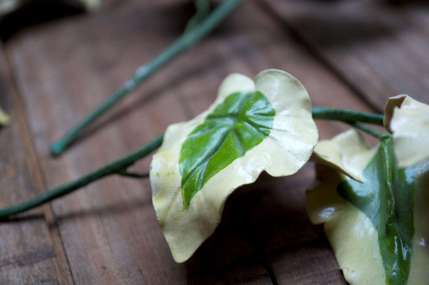 Vintage Handmade Variegated Ivy Stems – Set of 5
