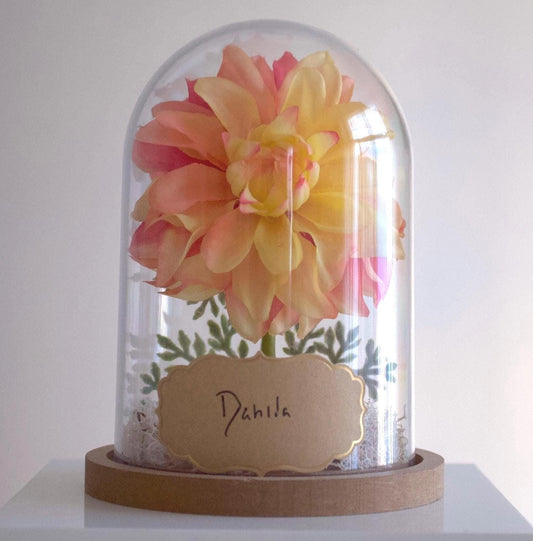 Dahlia Flower Cloche-Terrarium