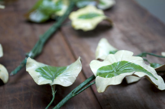 Vintage Handmade Variegated Ivy Stems – Set of 5