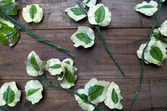 Vintage Handmade Variegated Ivy Stems – Set of 5