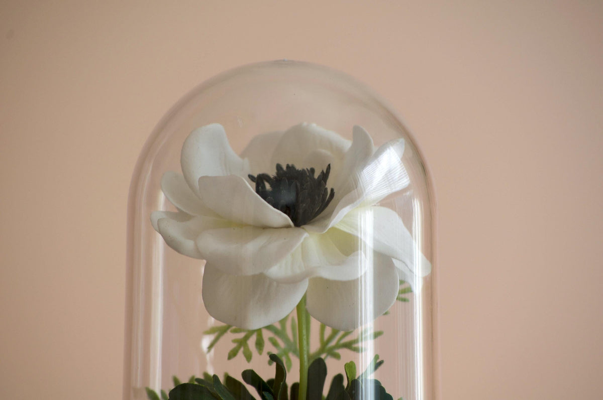 Anemone Flower Cloche