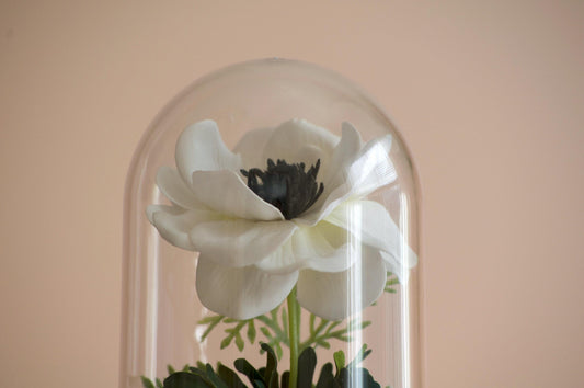 Anemone Flower Cloche