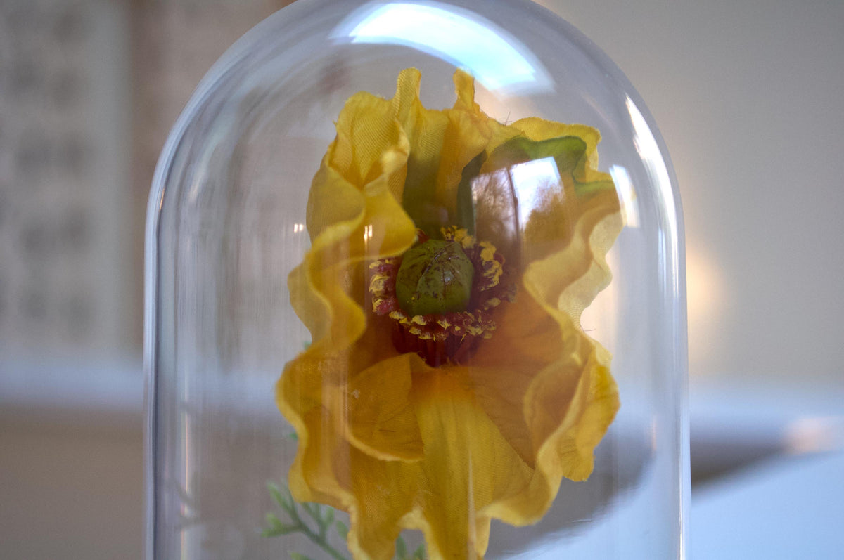 Iceland Poppy Flower Cloche