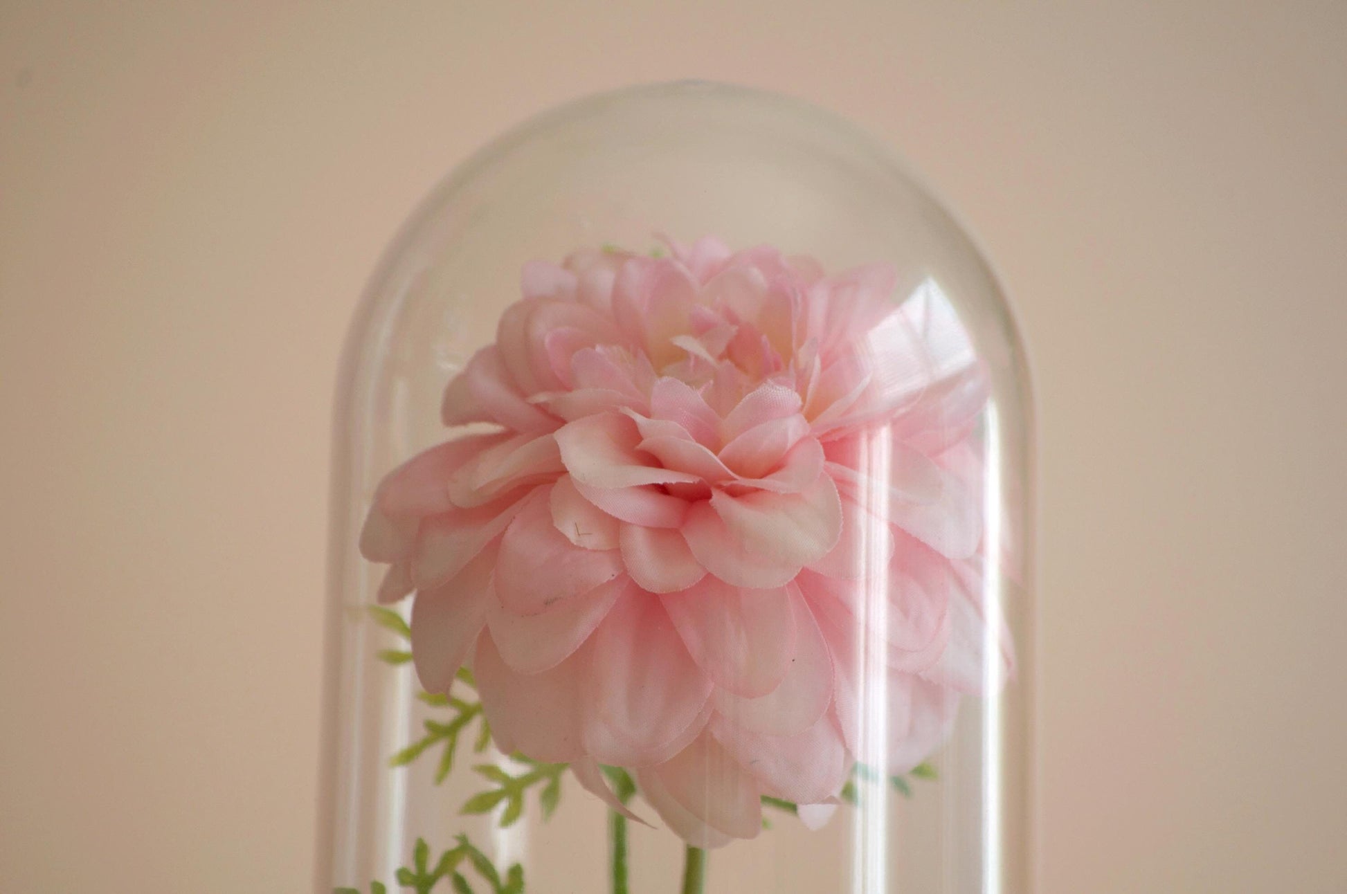 Dahlia silk flower arrangement inside of a flower cloche